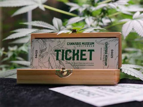 Cannabis Museum Amsterdam - Buy Your Tickets Here Online