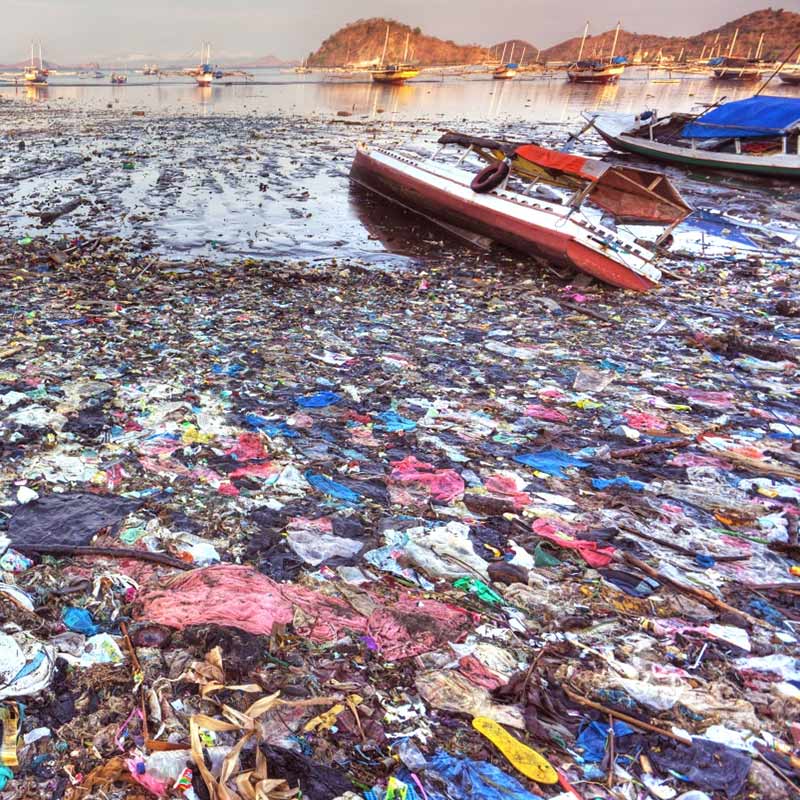 Plastic Pollution