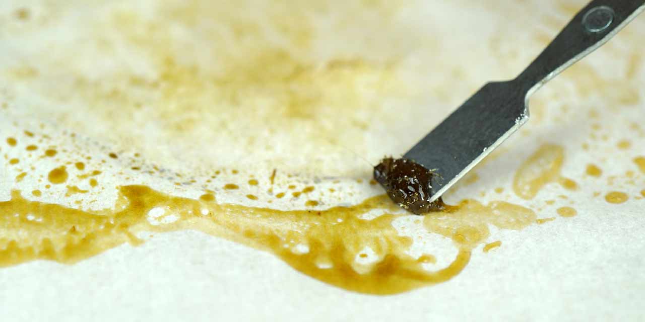 Cannabis Concentrates