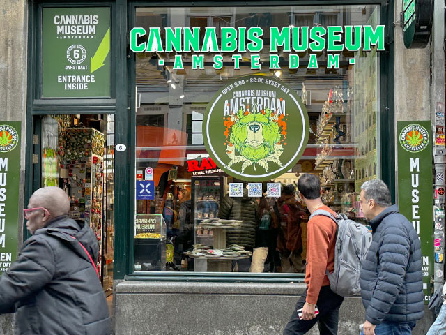 Cannabis Museum Amsterdam