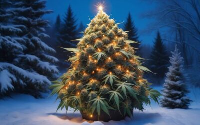 Cannabis Christmas