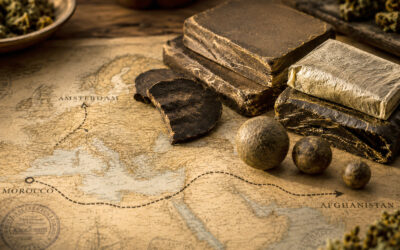 The Rise, Fall and Reinvention of Hash