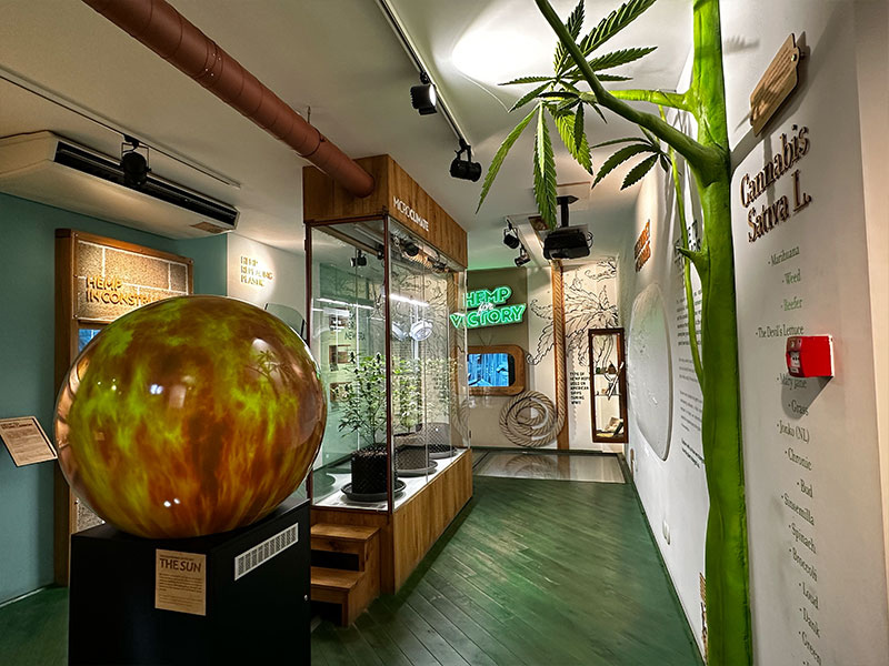 Cannabis Museum Amsterdam - 1st Floor Cannabis Museum Amsterdam - 1st Floor