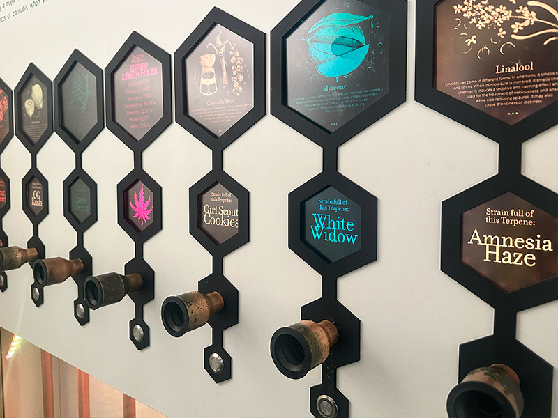 Cannabis Museum Amsterdam - interactive Cannabis Museum Amsterdam - interactive